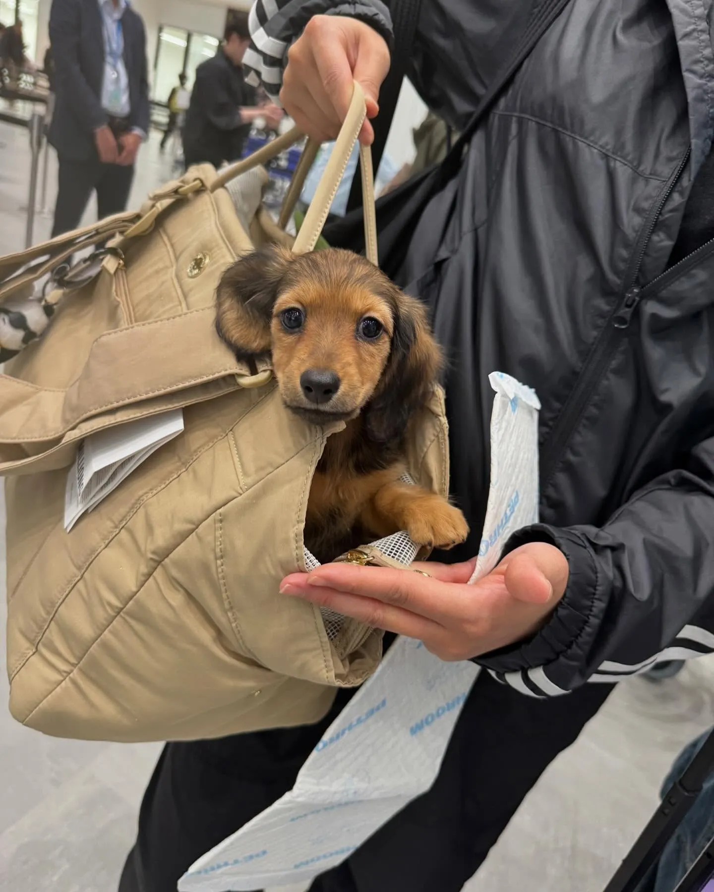 神戸空港が今月18日から国際線の運行が始まったようで、さっそ...