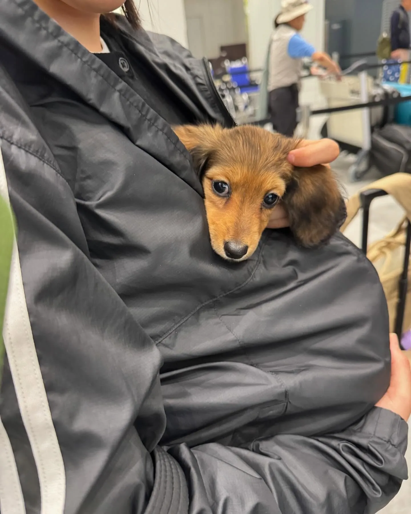 神戸空港が今月18日から国際線の運行が始まったようで、さっそ...