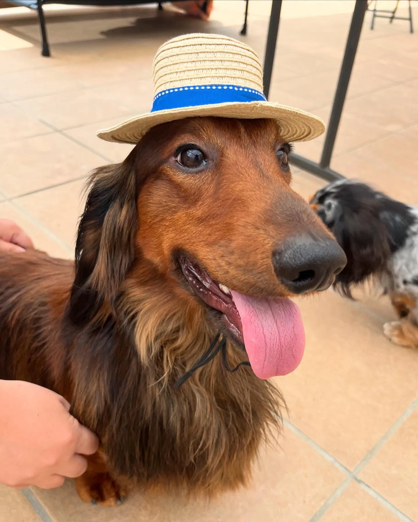 ボクには小さすぎました👒😅