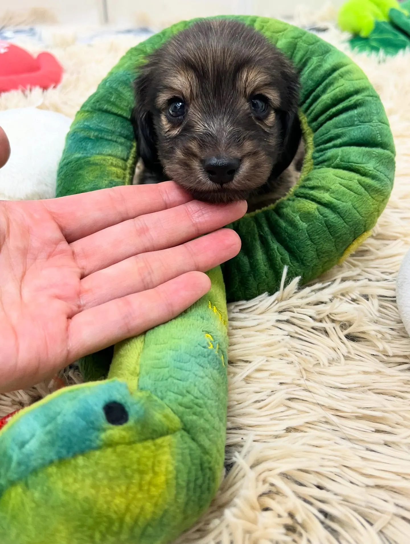 本日から撮影デビュー🍼