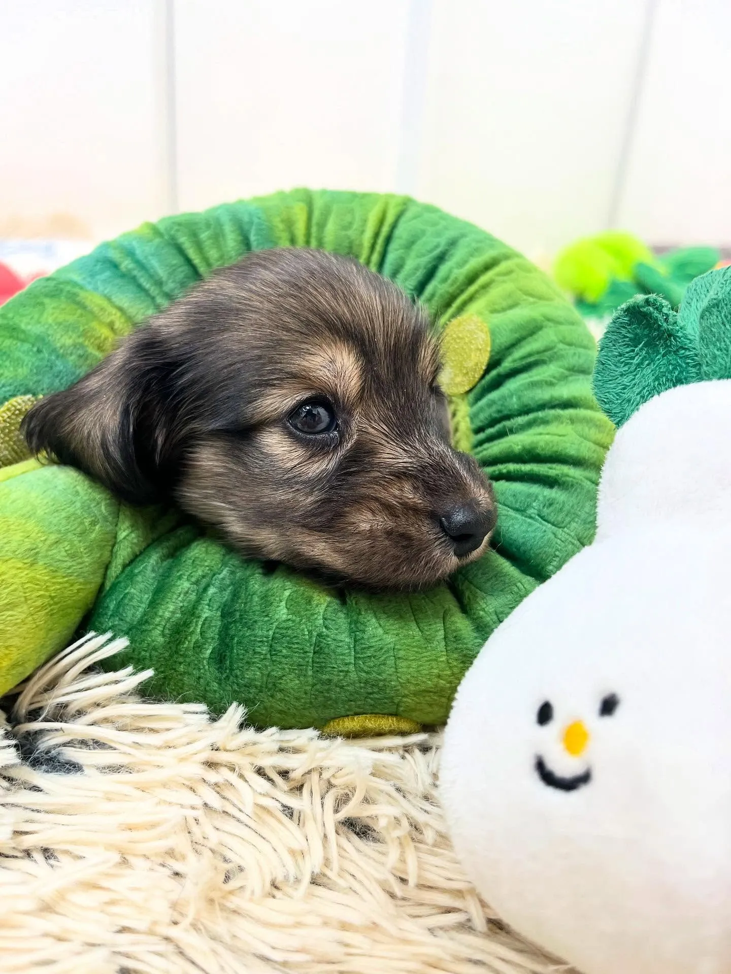 本日から撮影デビュー🍼