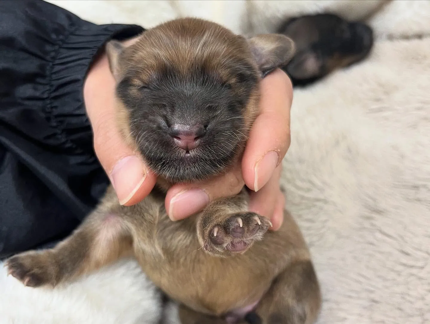 お久しぶりのショーンBaby🍼