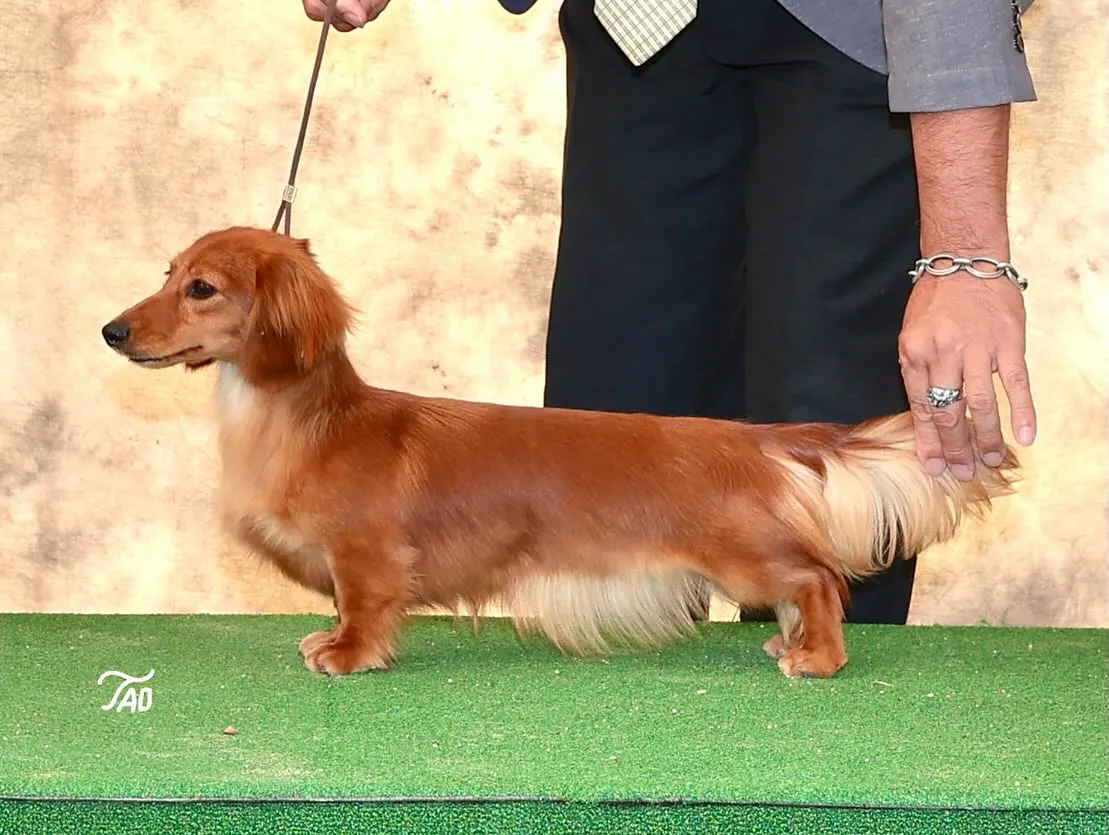 今年も嬉しいお知らせがダブルで届きました㊗️🙌🎉🎉🎉