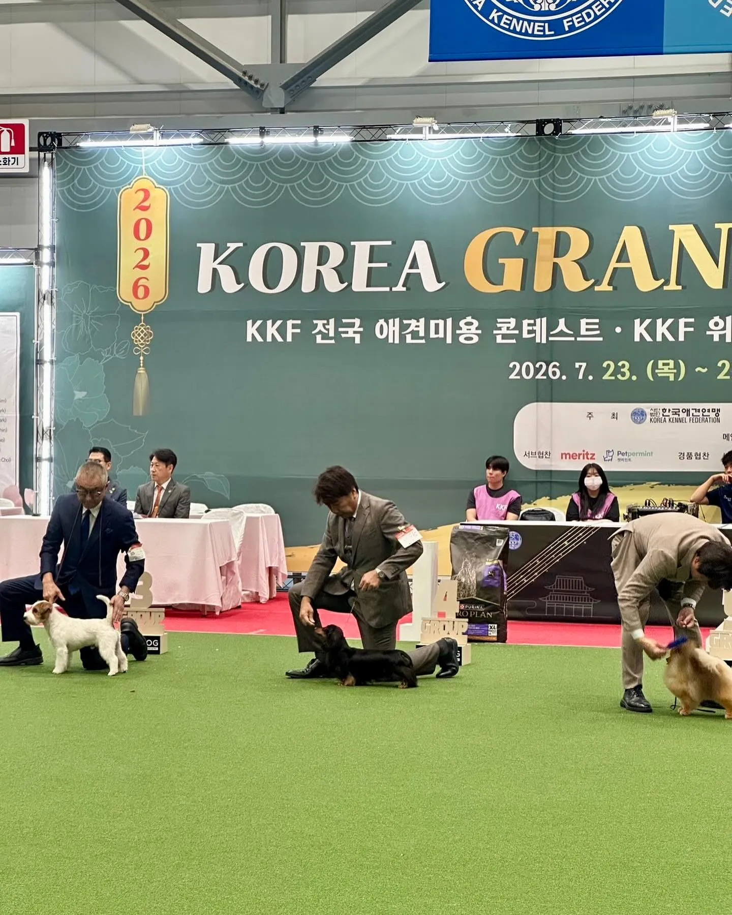 🇰🇷2026 Korea Grand Prix Dog Sh...