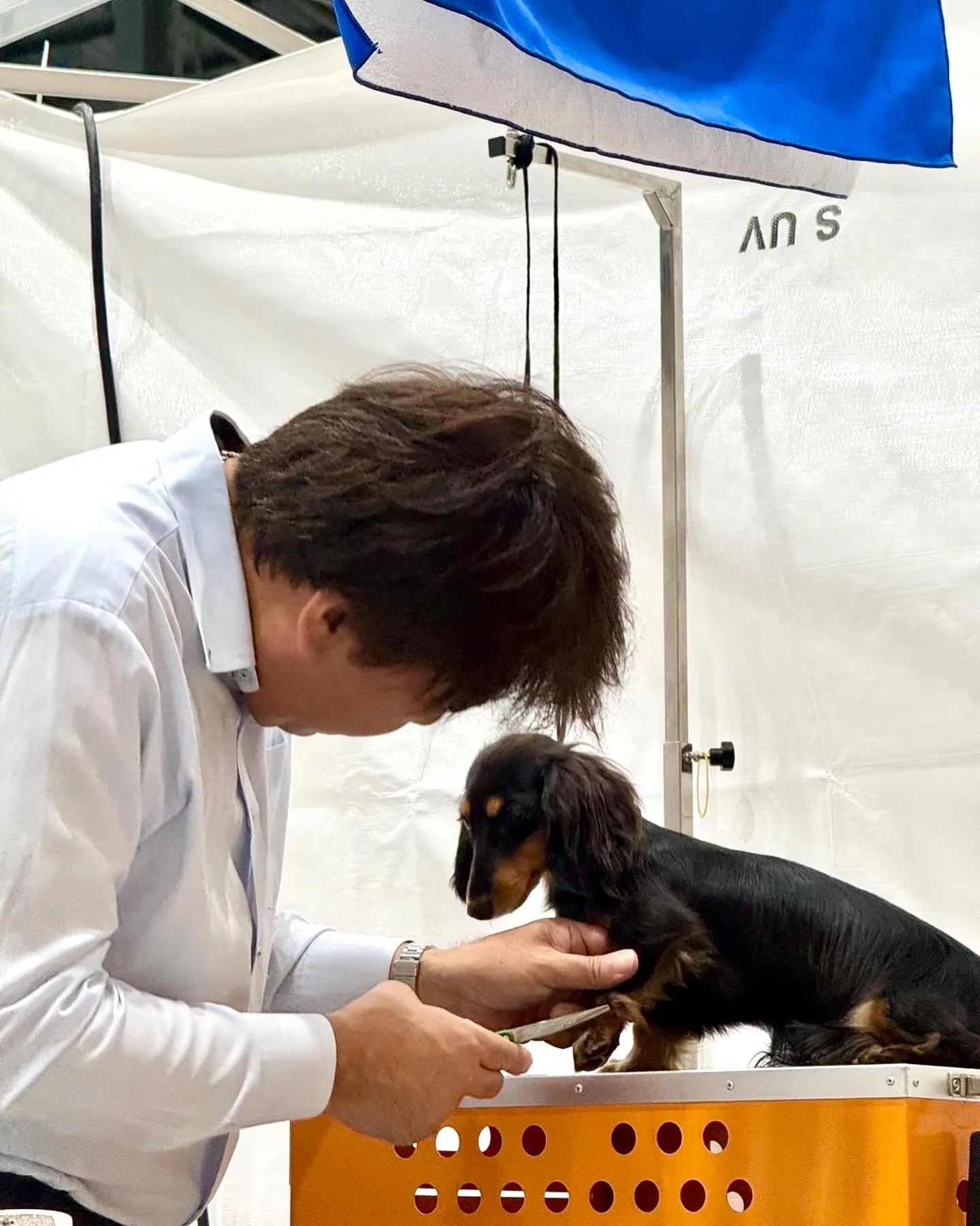 🇰🇷2026 Korea Grand Prix Dog Sh...