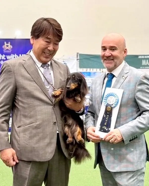 🇰🇷2026 Korea Grand Prix Dog Sh...
