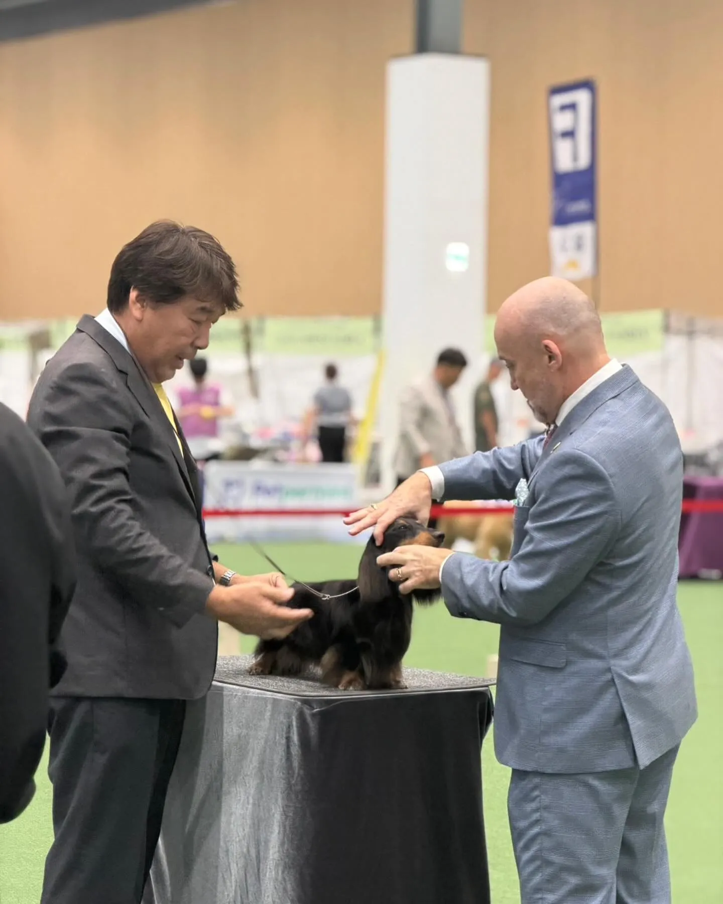 🇰🇷2026 Korea Grand Prix Dog Sh...