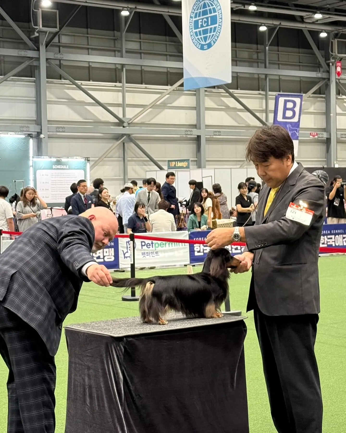 🇰🇷2026 Korea Grand Prix Dog Sh...