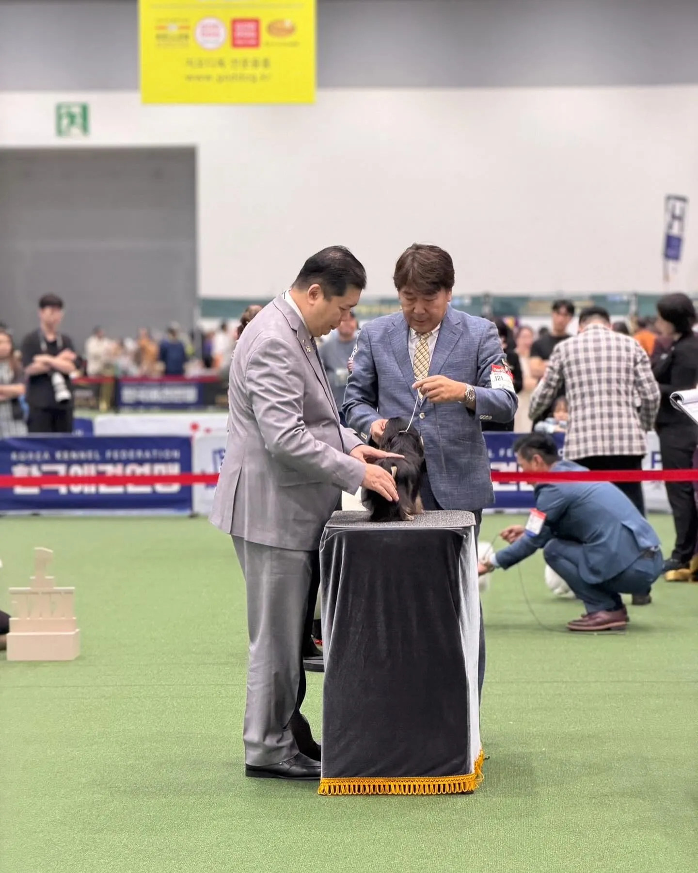 🇰🇷2026 Korea Grand Prix Dog Sh...