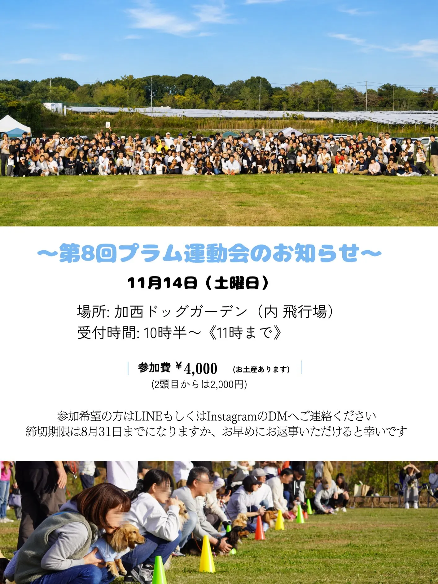 今年も運動会開催します🎌🏅✨️