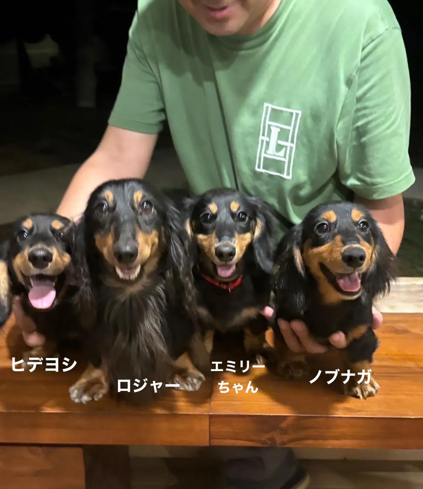 ロジャーパパ🐶とハラミママ🐶から3月8日に生まれたエミリーち...