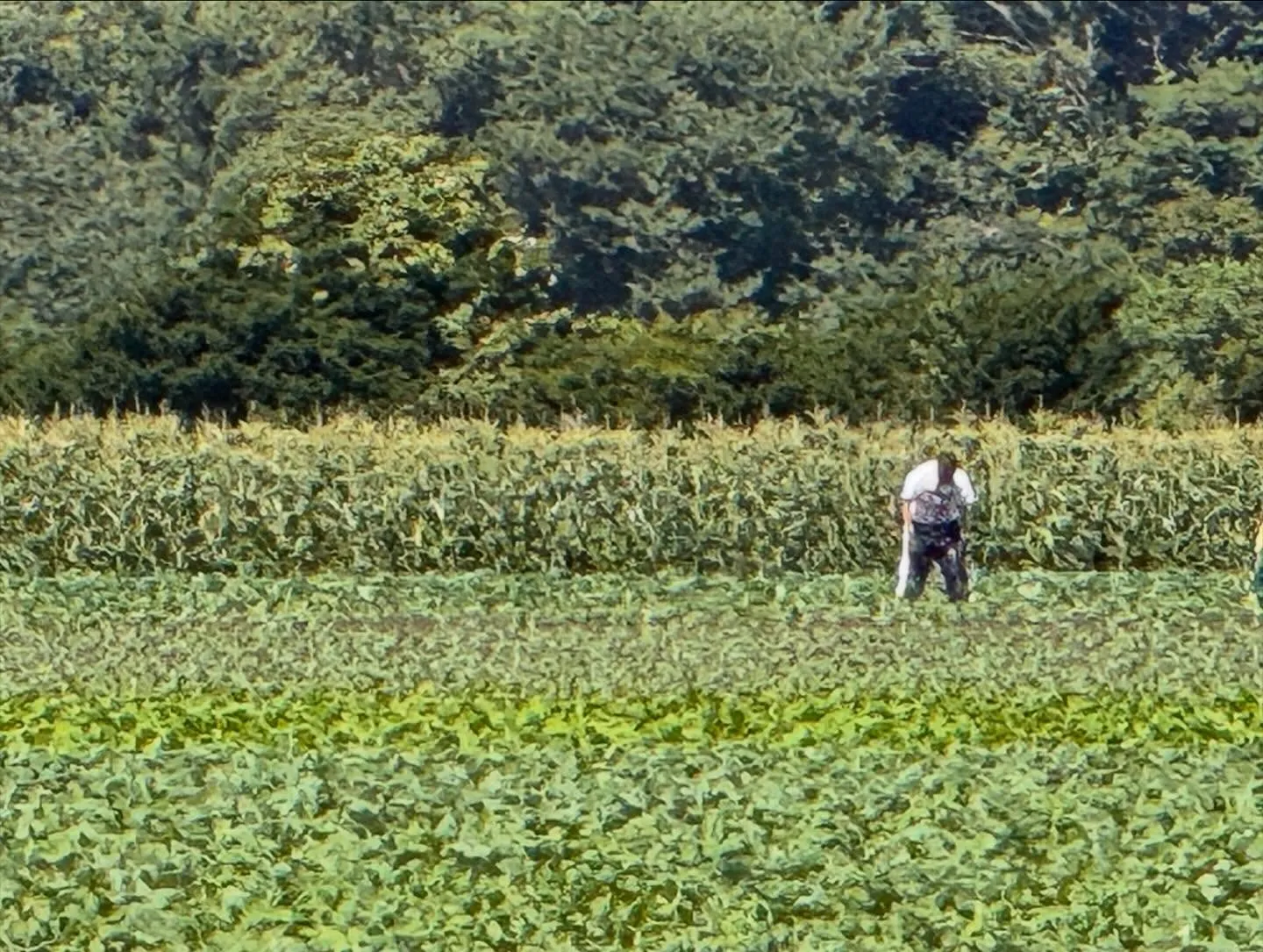 北海道遠征道中三度の通行止めと秋田あたりでは線状降水帯⁉︎大...