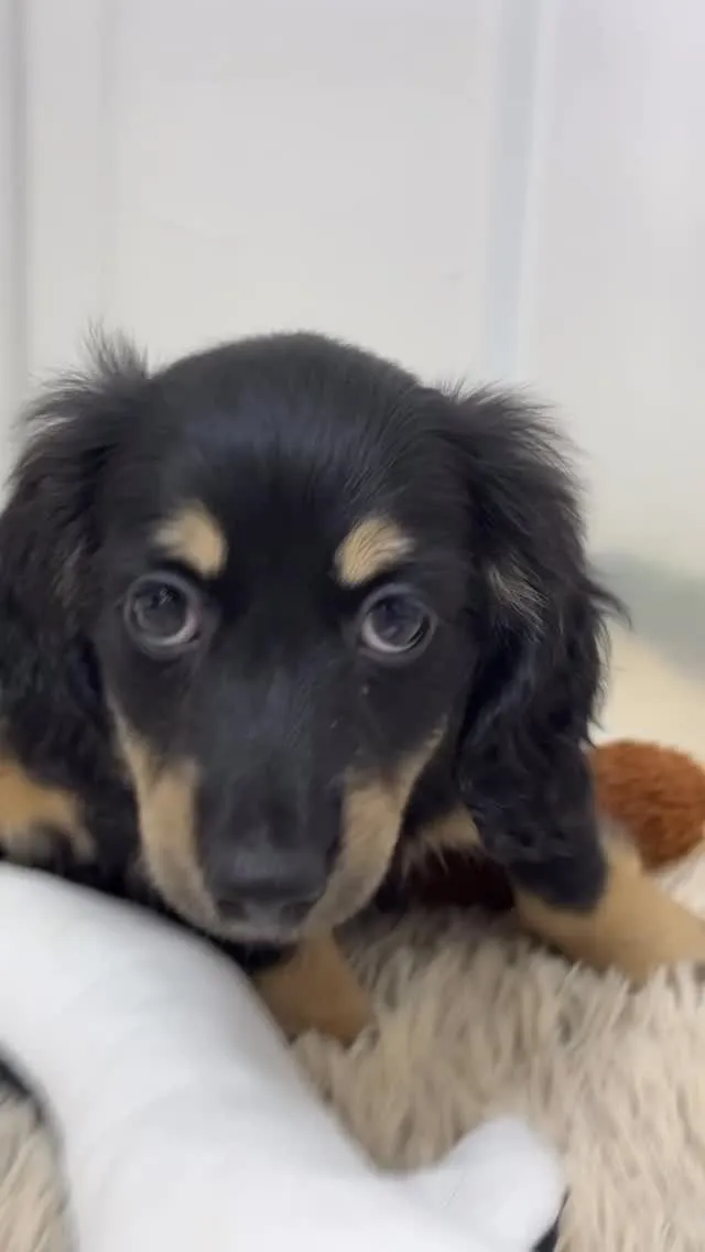 お調子者なボクですが、