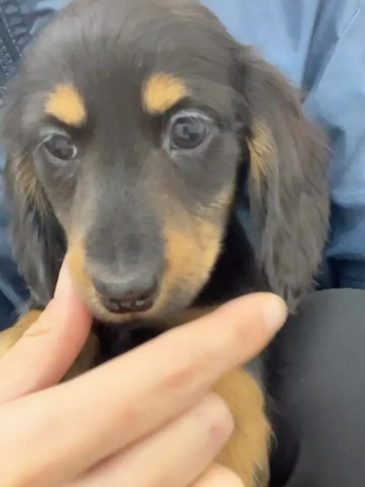 甘えん坊ボク🐶🍼